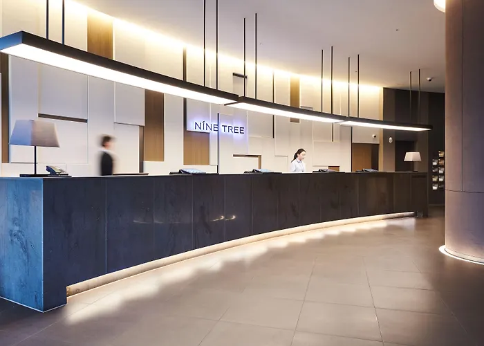 ホテル Nine Tree By Parnas Myeongdong 2 ソウル特別市