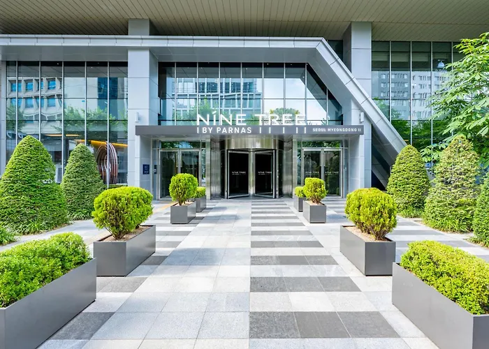 ホテル Nine Tree By Parnas Myeongdong 2 ソウル特別市